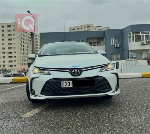 Toyota for sale in Iraq